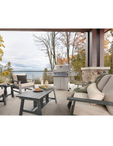Barbacoa Napoleón Prestige PRO 500 Inox