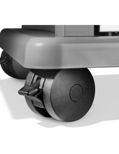 Barbacoa Napoleon Rogue PRO-S 425 Y Asador Giratorio