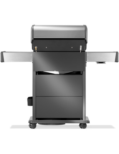 Barbacoa Napoleon Rogue PRO-S 425 INOX