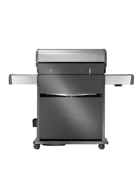 Barbacoa Napoleon Rogue PRO-S 625 Inox
