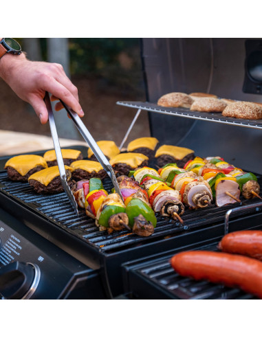 Double Play Gas & Charcoal Grill