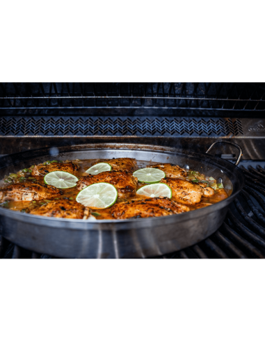 Asador de infusion de pollo PRO