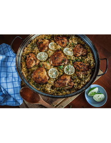 Asador de infusion de pollo PRO