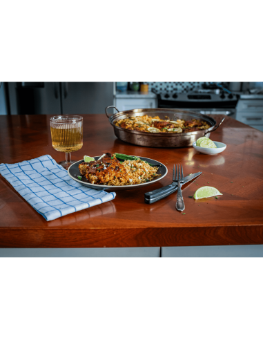 Asador de infusion de pollo PRO