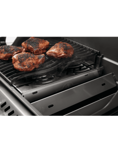 Caja ahumador para Rogue, 700 - series & prestige (PRO) 2