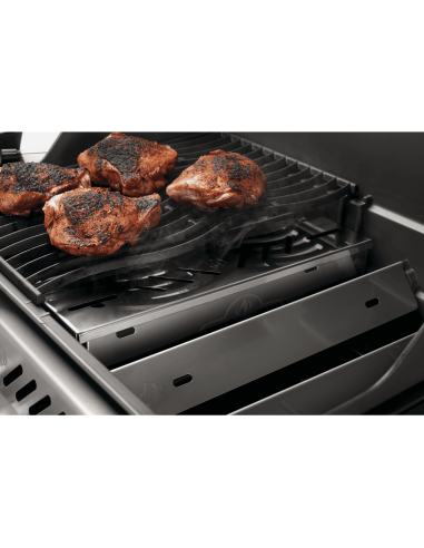 Caja ahumador para Rogue, 700 - series & prestige (PRO)