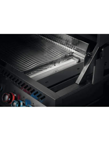 Caja ahumador para Rogue, 700 - series & prestige (PRO)