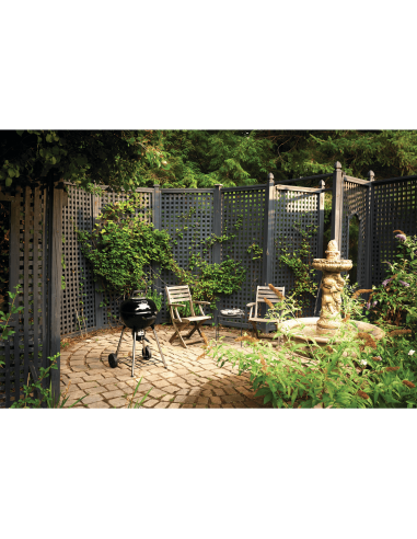 Kettle Carbon Premium 47 cm