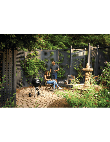 Kettle Carbon Premium 47 cm