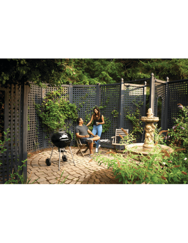 Kettle Carbon premium 57 cm