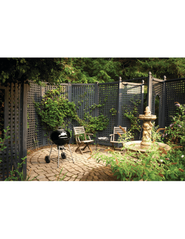 Kettle Carbon premium 57 cm