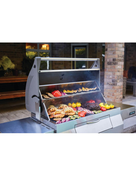 Barbacoa Napoleon PRO605CSS