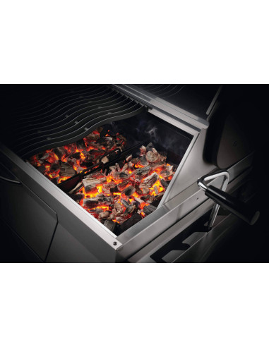 Barbacoa Napoleon PRO605CSS