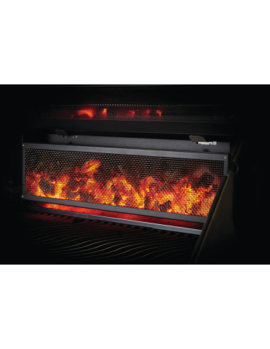 Barbacoa Napoleon PRO605CSS