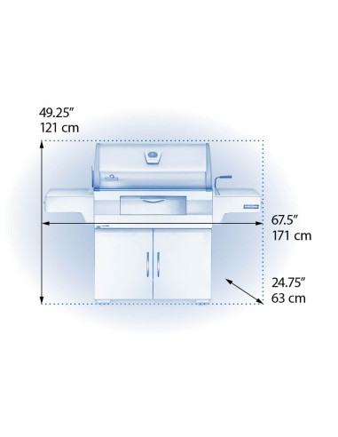 Barbacoa Napoleon PRO605CSS