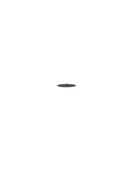 Tapa - Fuego Negro 100