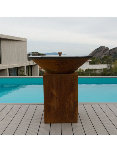 Tapa - Fuego Negro 100