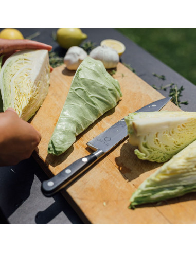 Conjunto cuchillo y tenedor