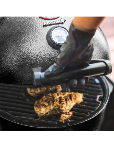 Kamado Char-Griller Akorn Junior