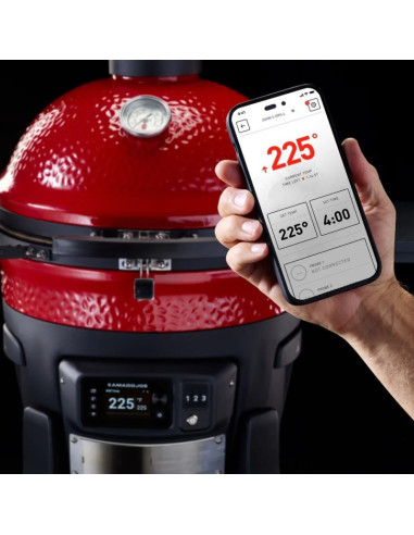 Kamado Joe Konnected Big Joe