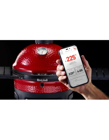 Kamado Joe Konnected Big Joe