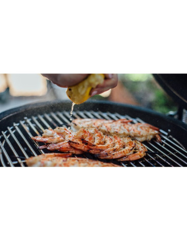 Kamado Joe Big Joe II Stand-Alone