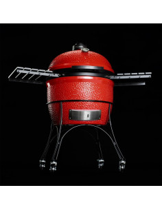 Kamado Joe Big Joe I 2