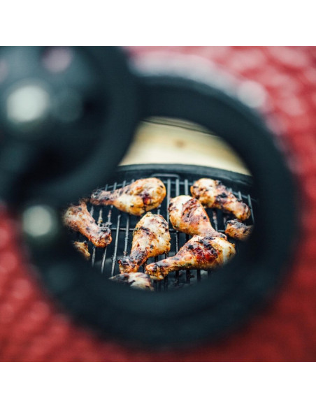 Kamado Joe Big Joe I