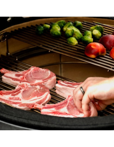 Kamado Joe Big Joe I