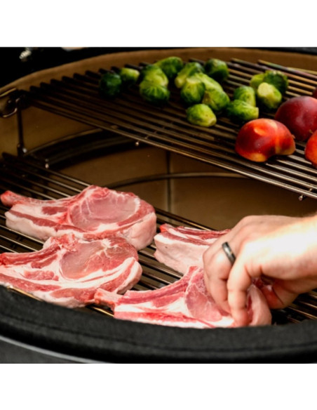 Kamado Joe Big Joe I