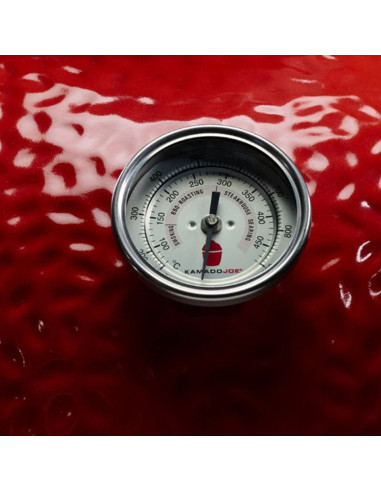 Kamado Joe Big Joe I