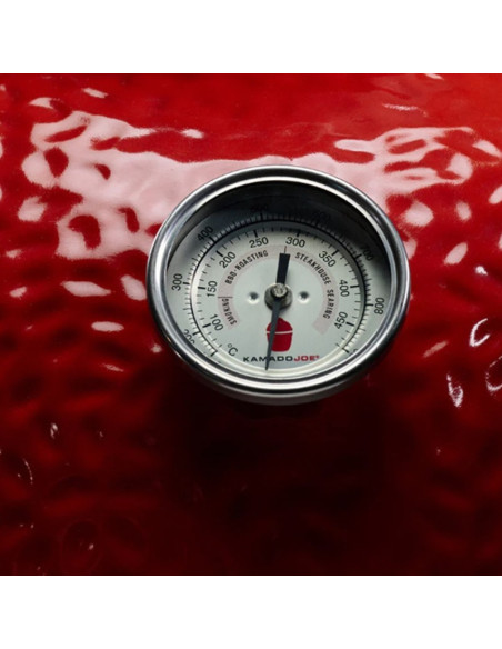 Kamado Joe Big Joe I